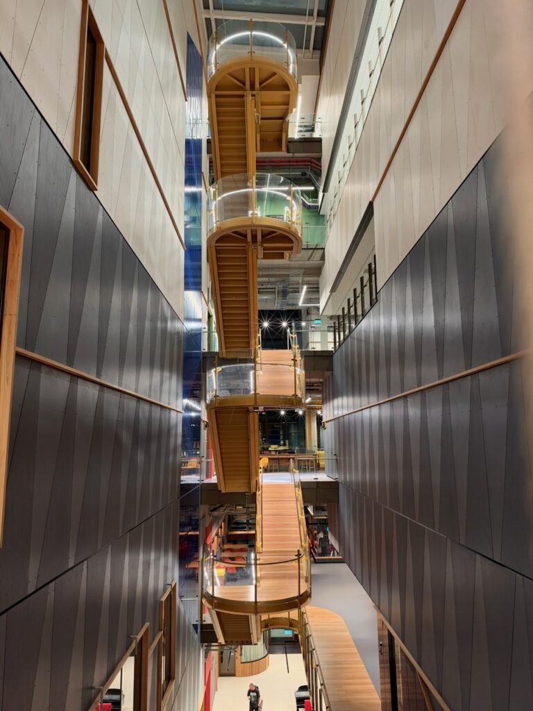 Timber staircases rising through the multi-storey central atrium at ECU City Campus