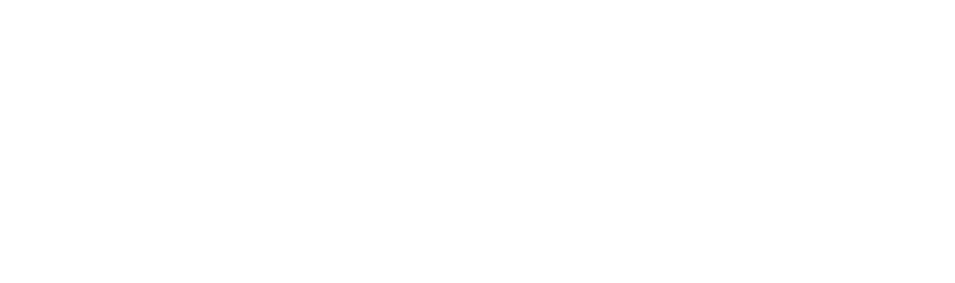 Fortix